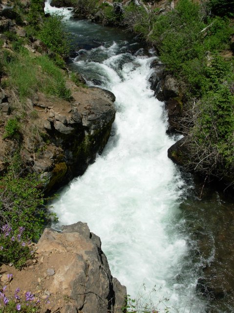 Summer '06 Sunriver 261 